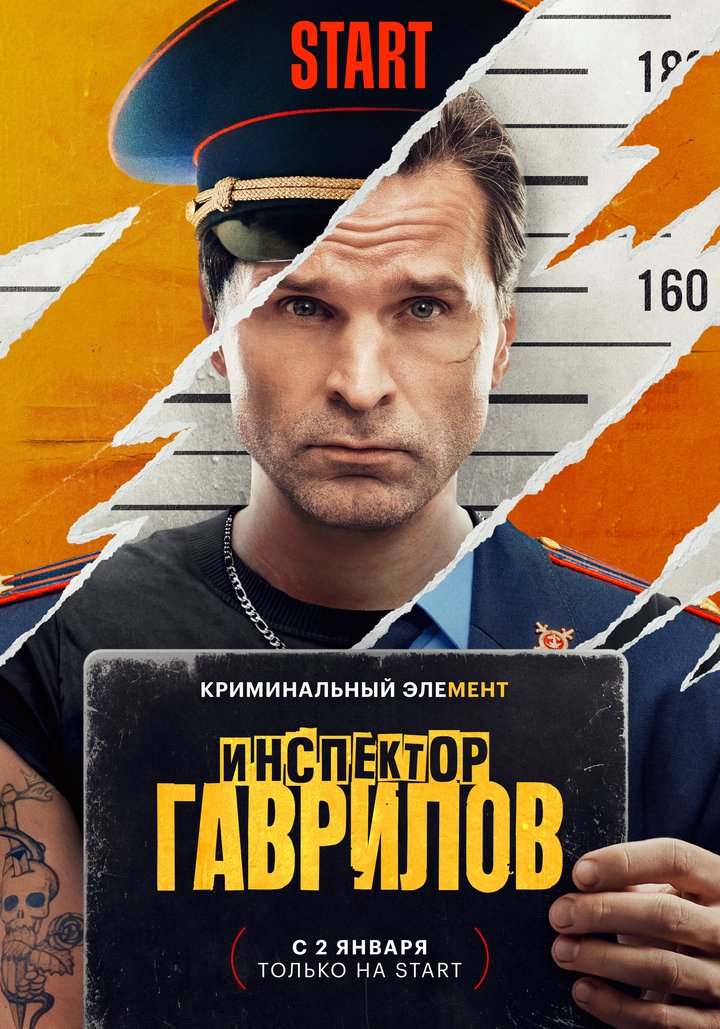 Inspektor Gavrilov (2024) Poster