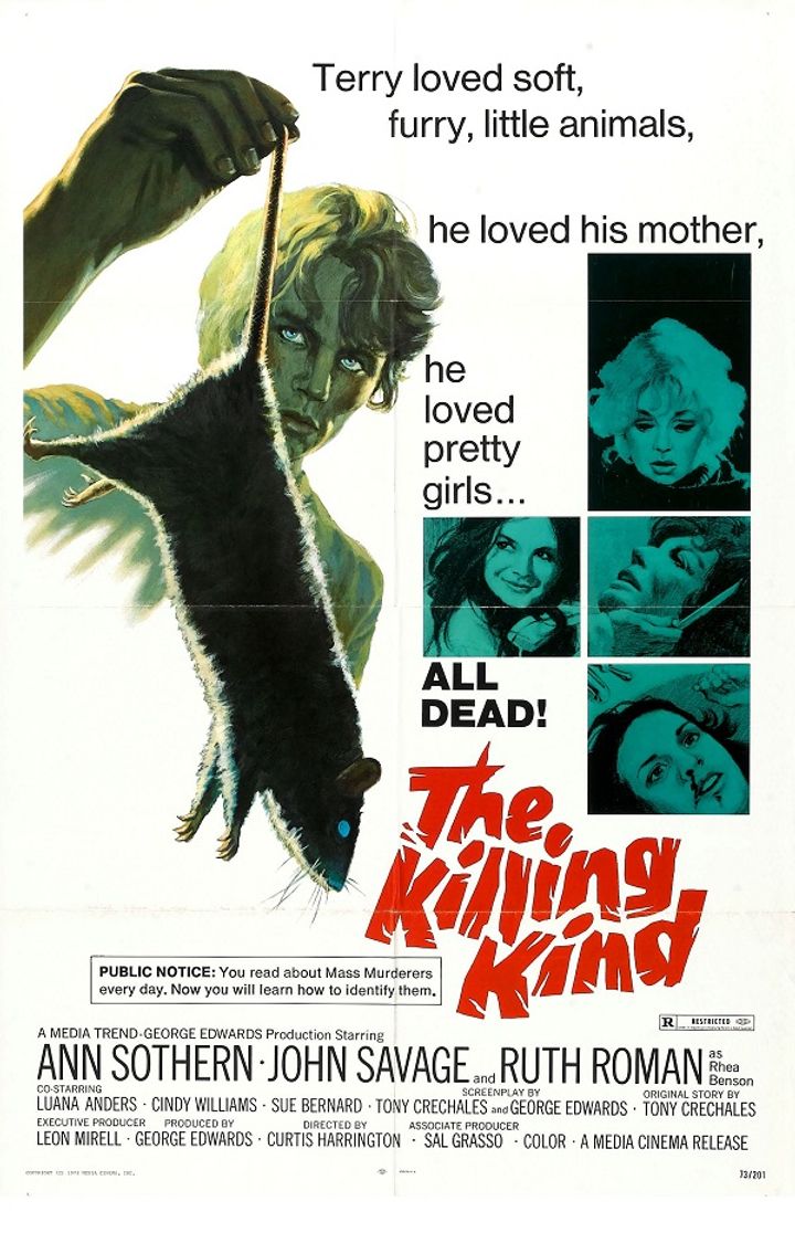 The Killing Kind (1973) Poster