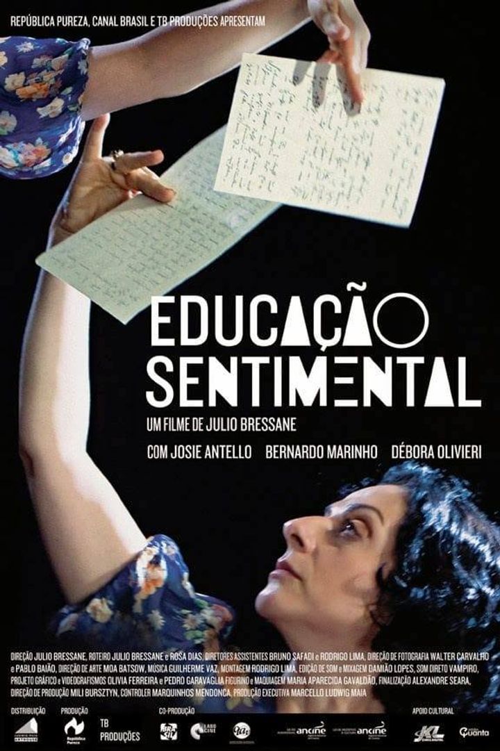 Educação Sentimental (2013) Poster