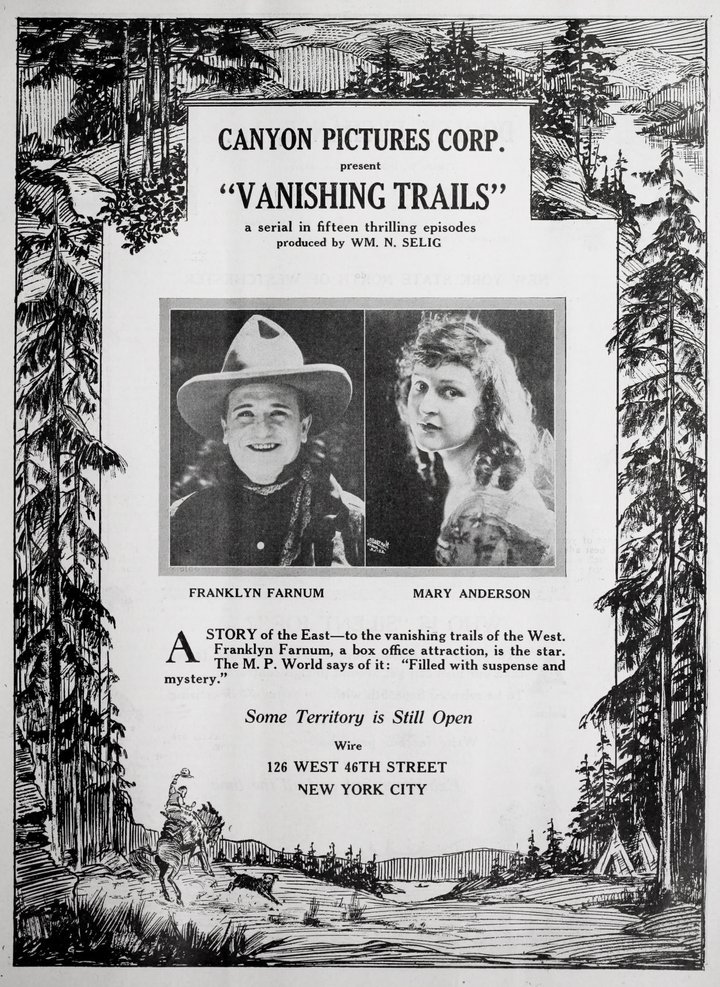 Vanishing Trails (1920) Poster