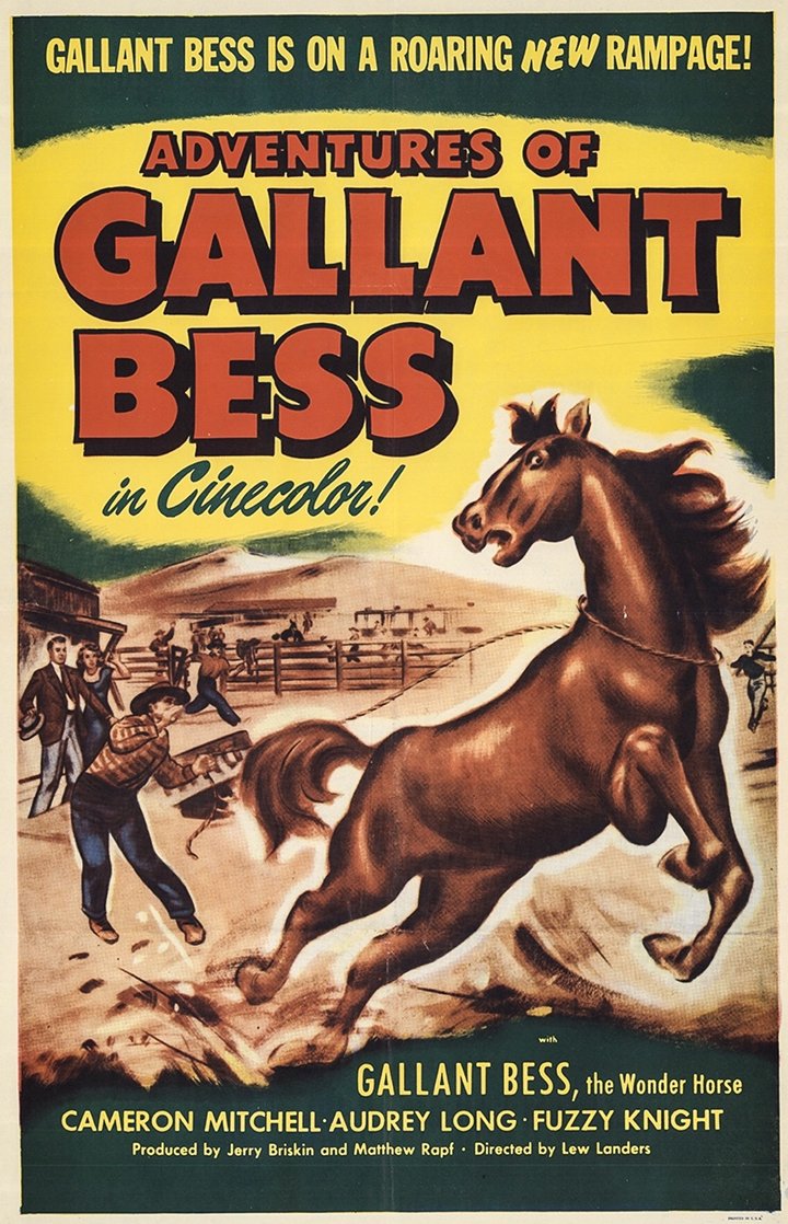 Adventures Of Gallant Bess (1948) Poster