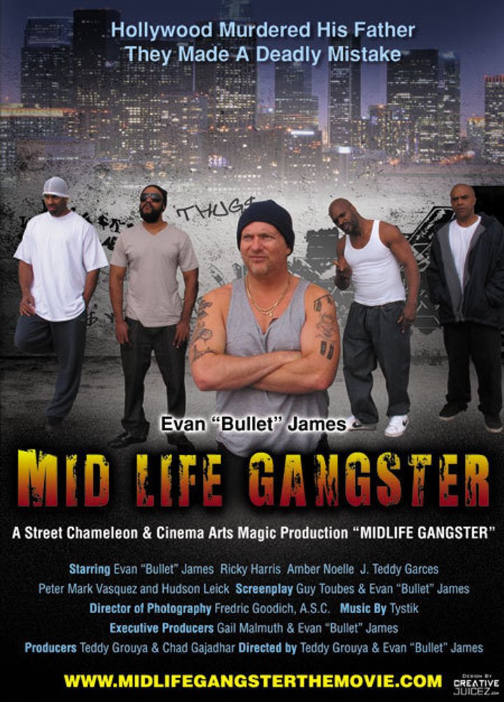 Mid Life Gangster (2013) Poster