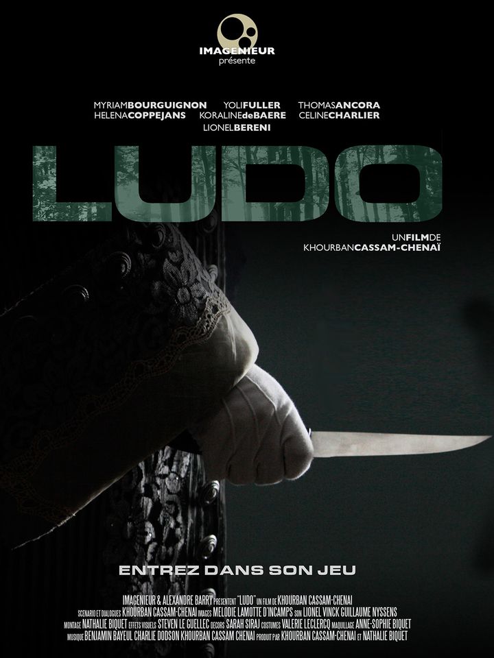 Ludo (2014) Poster