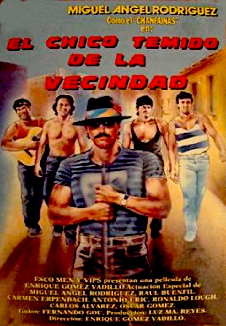 El Chico Temido De La Vecindad (1989) Poster