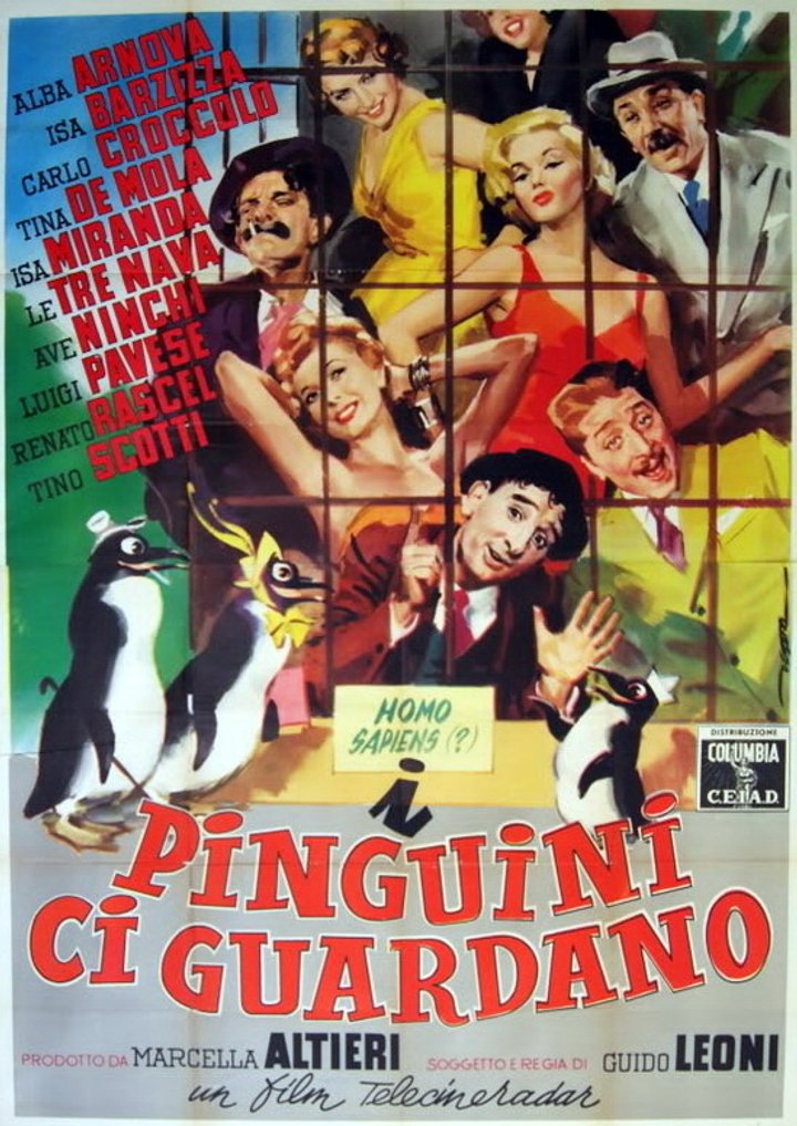 I Pinguini Ci Guardano (1955) Poster