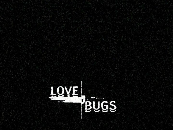 Love Bugs (2004) Poster