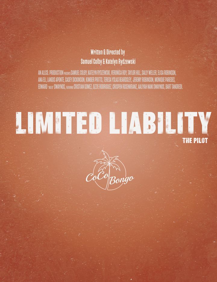 Limited Liability (2019) Poster