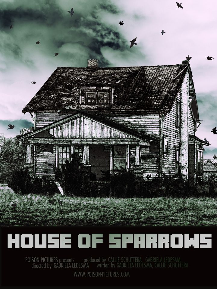 House Of Sparrows Poster