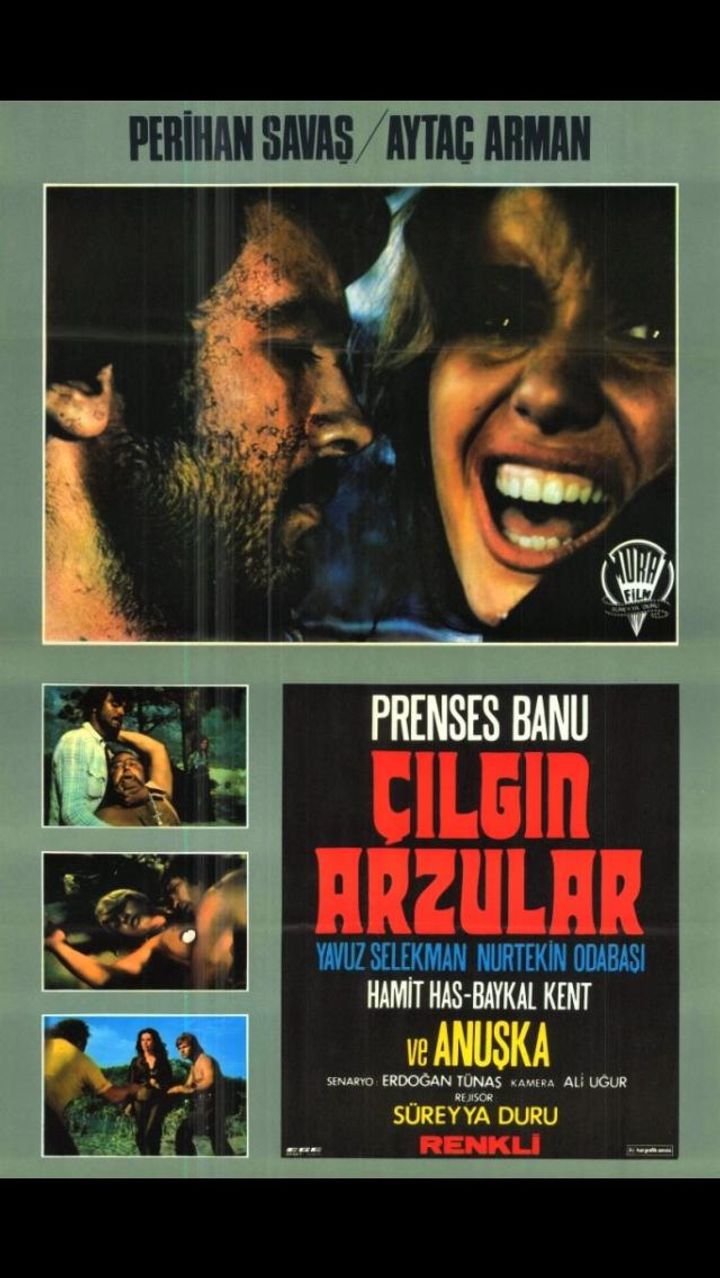 Çilgin Arzular (1974) Poster