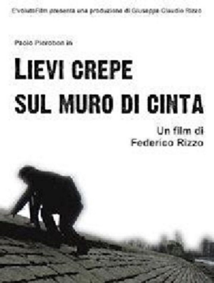 Lievi Crepe Sul Muro Di Cinta (2005) Poster