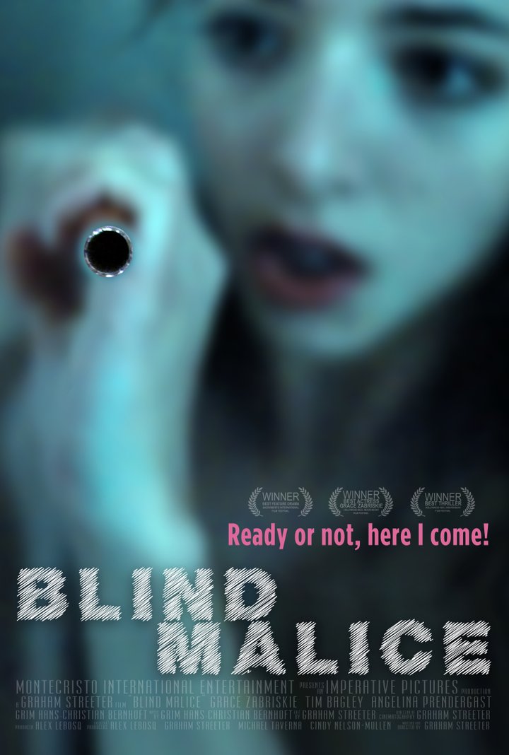 Blind Malice (2014) Poster