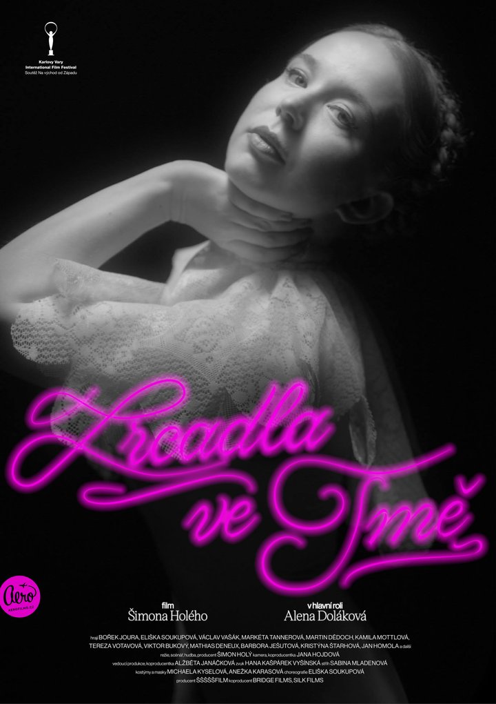 Zrcadla Ve Tme (2021) Poster