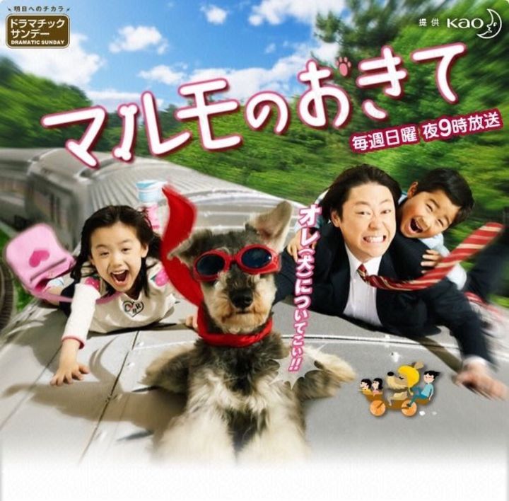 Marumo No Okite (2011) Poster