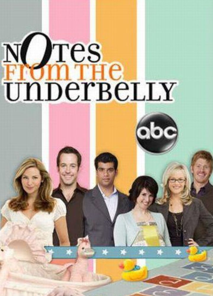 Notes From The Underbelly (2007) Poster