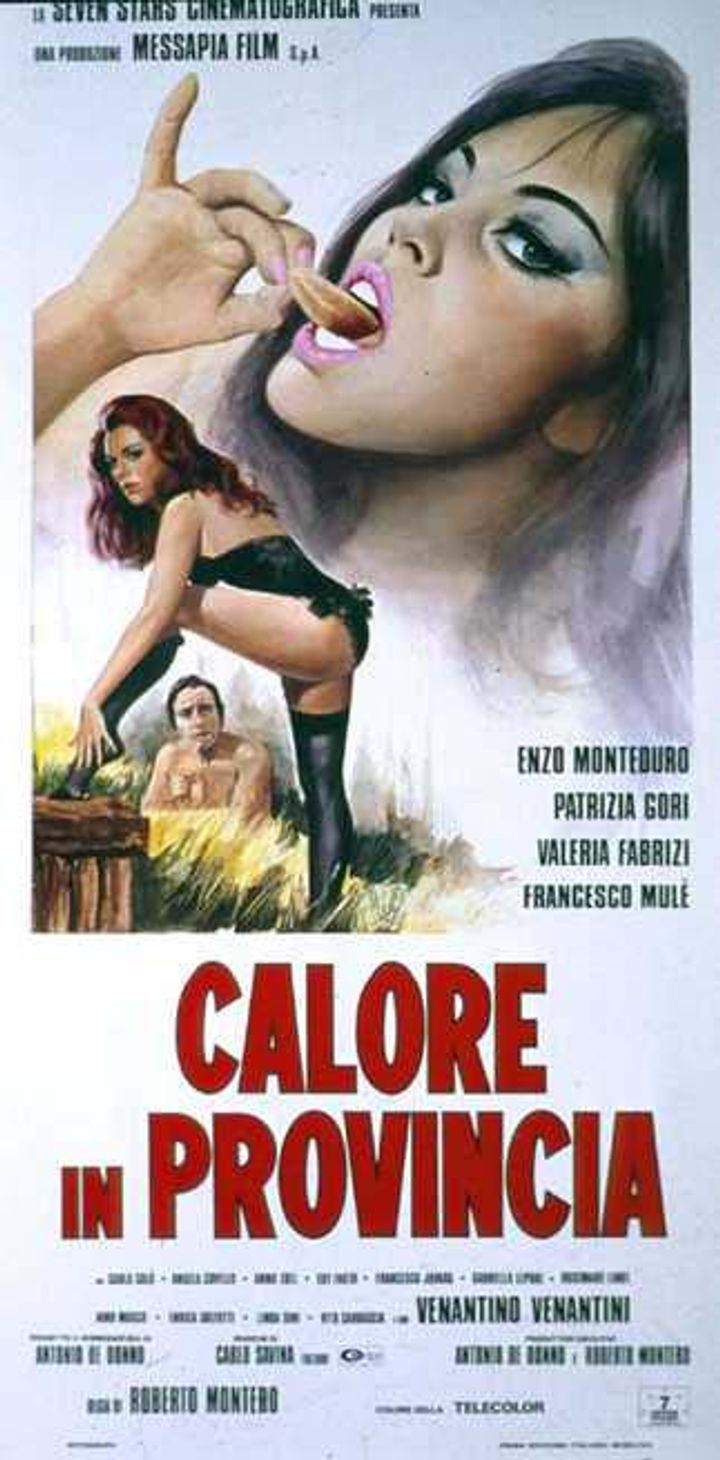 Calore In Provincia (1975) Poster