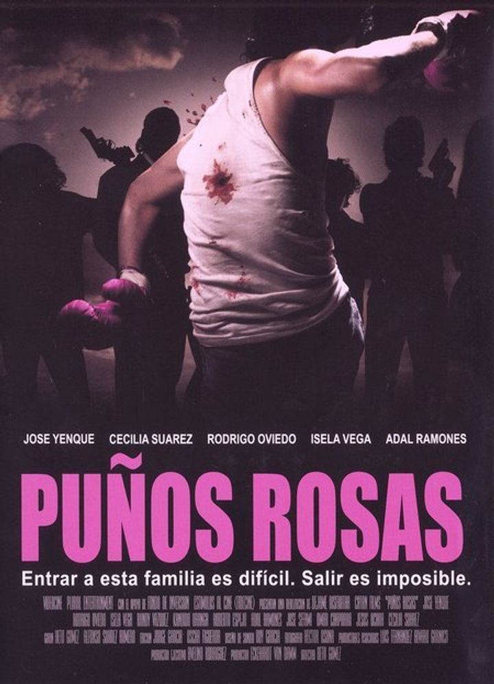 Puños Rosas (2004) Poster