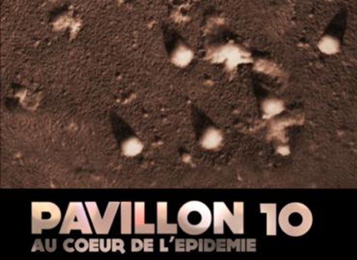 Pavillon 10 Au Coeur De L'épidémie (2014) Poster