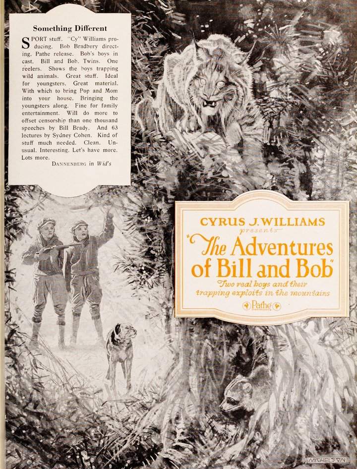 The Adventures Of Bill And Bob (1920) Poster