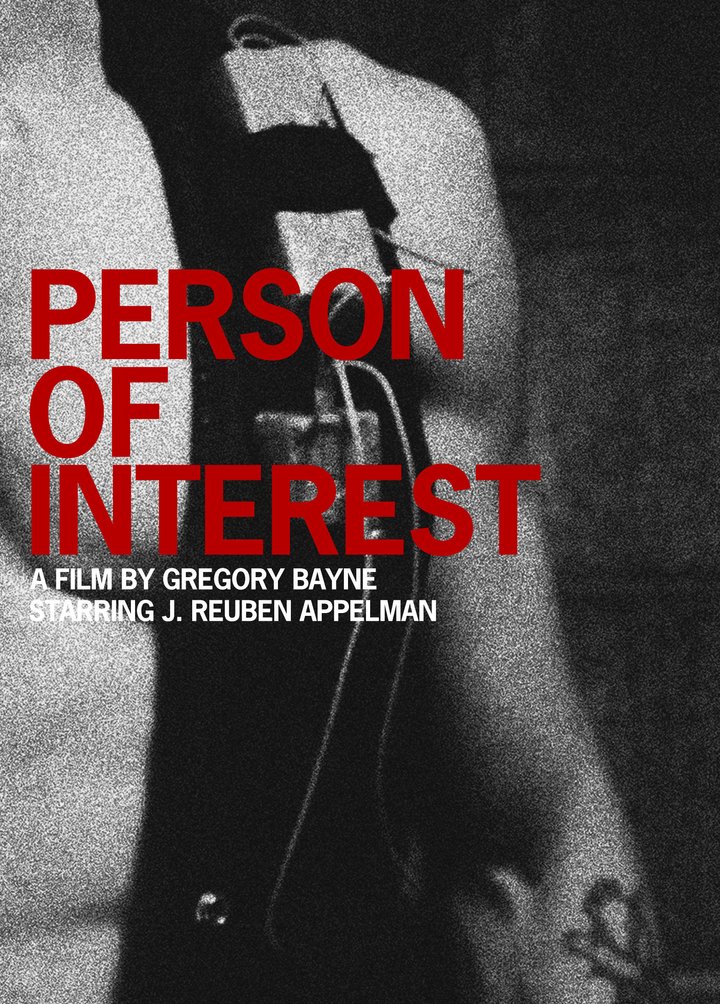 Person Of Interest (2010) Poster