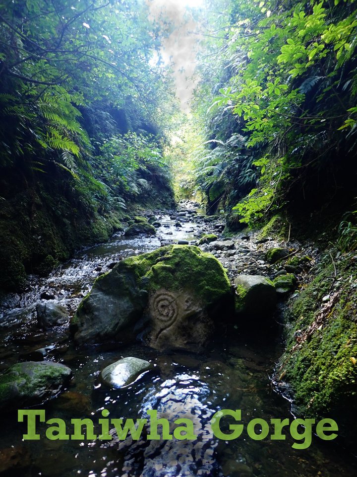 Taniwha Gorge Poster