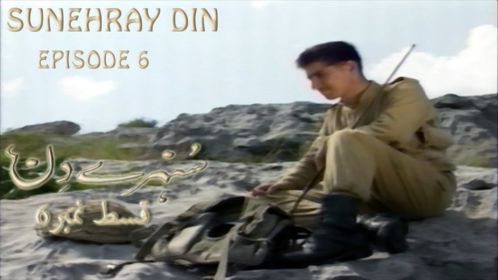 Sunehray Din (1991) Poster