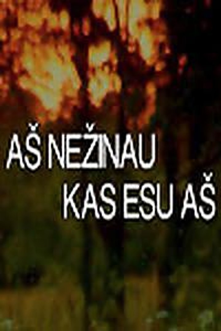 As Nezinau Kas Esu As (1995) Poster