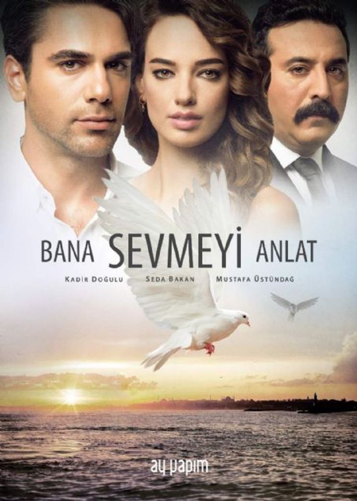 Bana Sevmeyi Anlat (2016) Poster