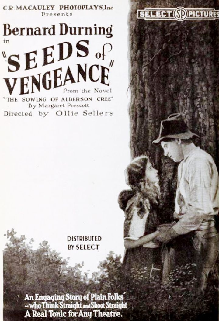 Seeds Of Vengeance (1920) Poster