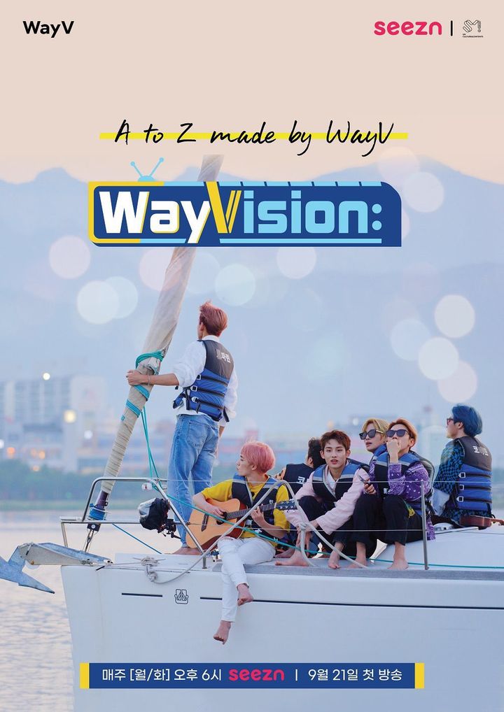 Wayvision (2020) Poster