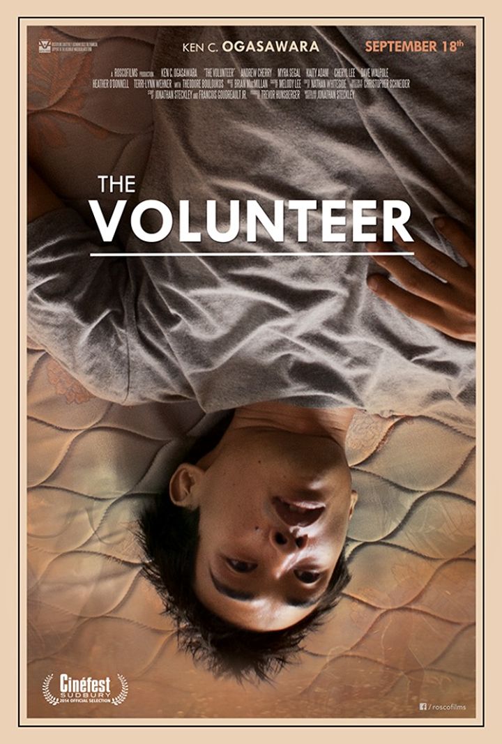 The Volunteer (2013) Poster