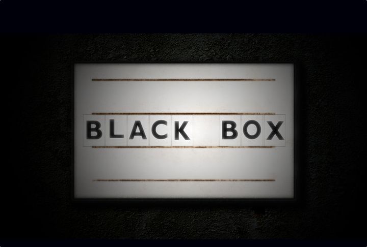 Black Box (2013) Poster