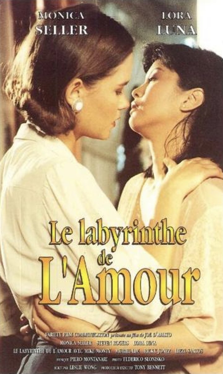 Il Labirinto Dei Sensi (1994) Poster