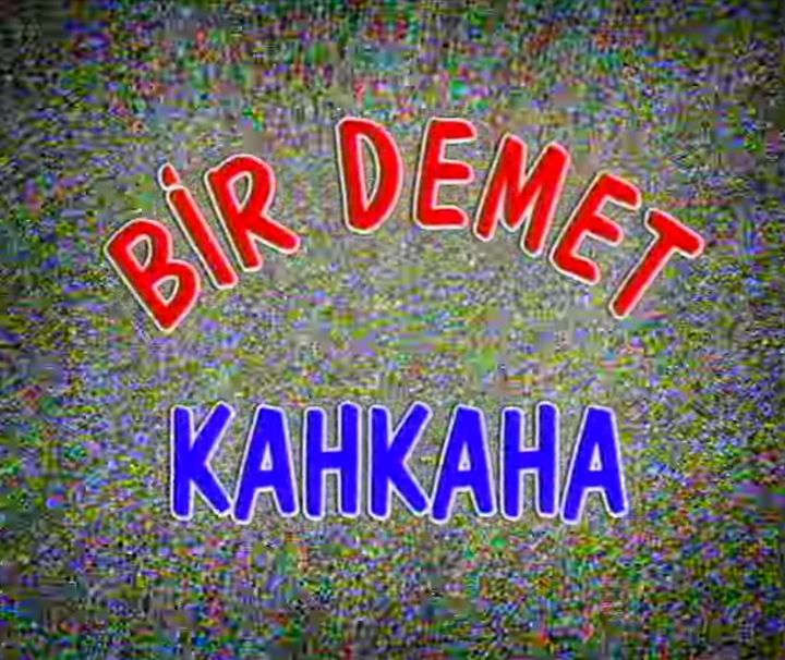 Bir Demet Kahkaha (1994) Poster