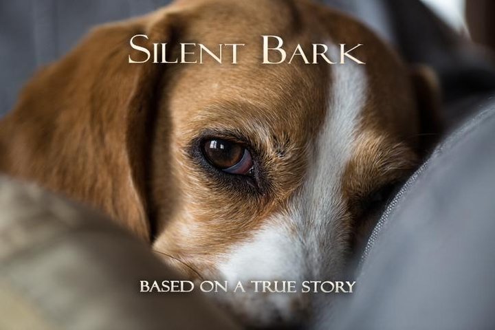 Silent Bark (2026) Poster