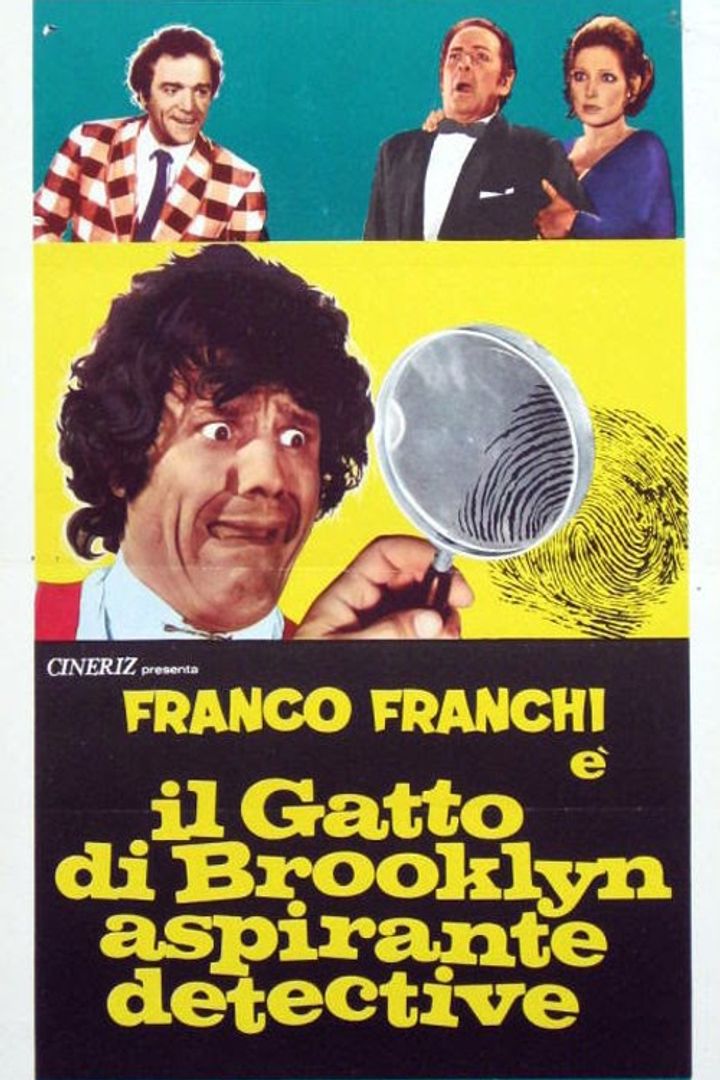 Il Gatto Di Brooklyn Aspirante Detective (1973) Poster