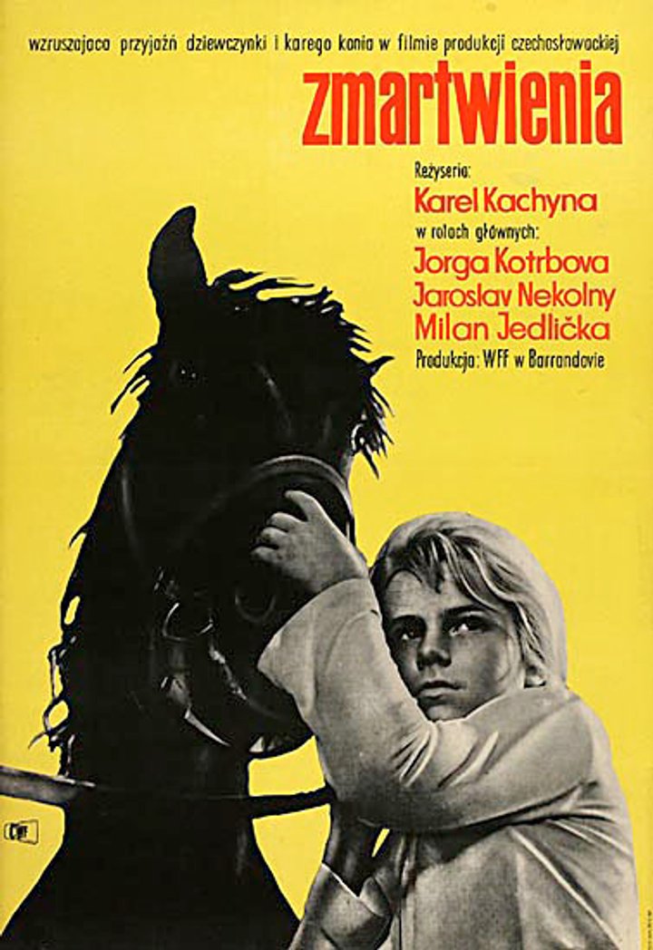 Trápení (1962) Poster