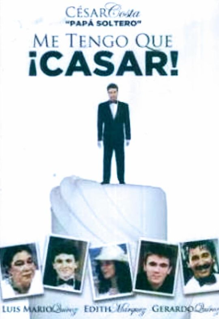 Me Tengo Que Casar/papá Soltero (1995) Poster