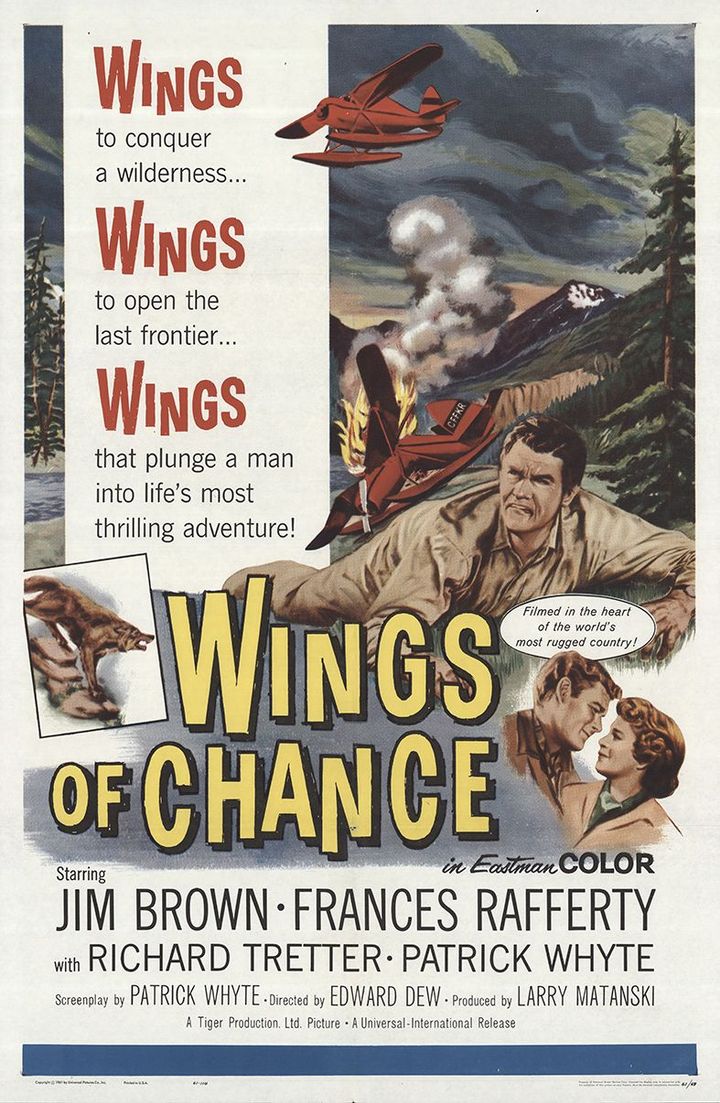 Wings Of Chance (1961) Poster