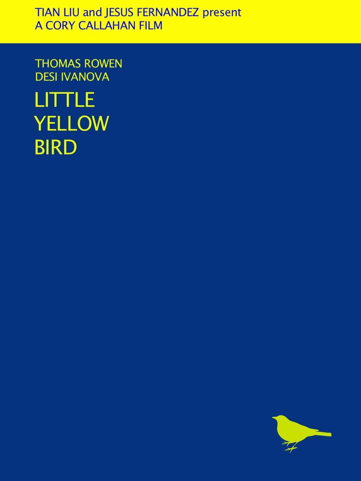 Little Yellow Bird (2016) Poster