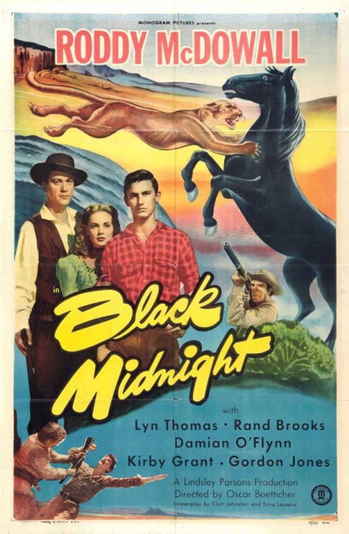 Black Midnight (1949) Poster