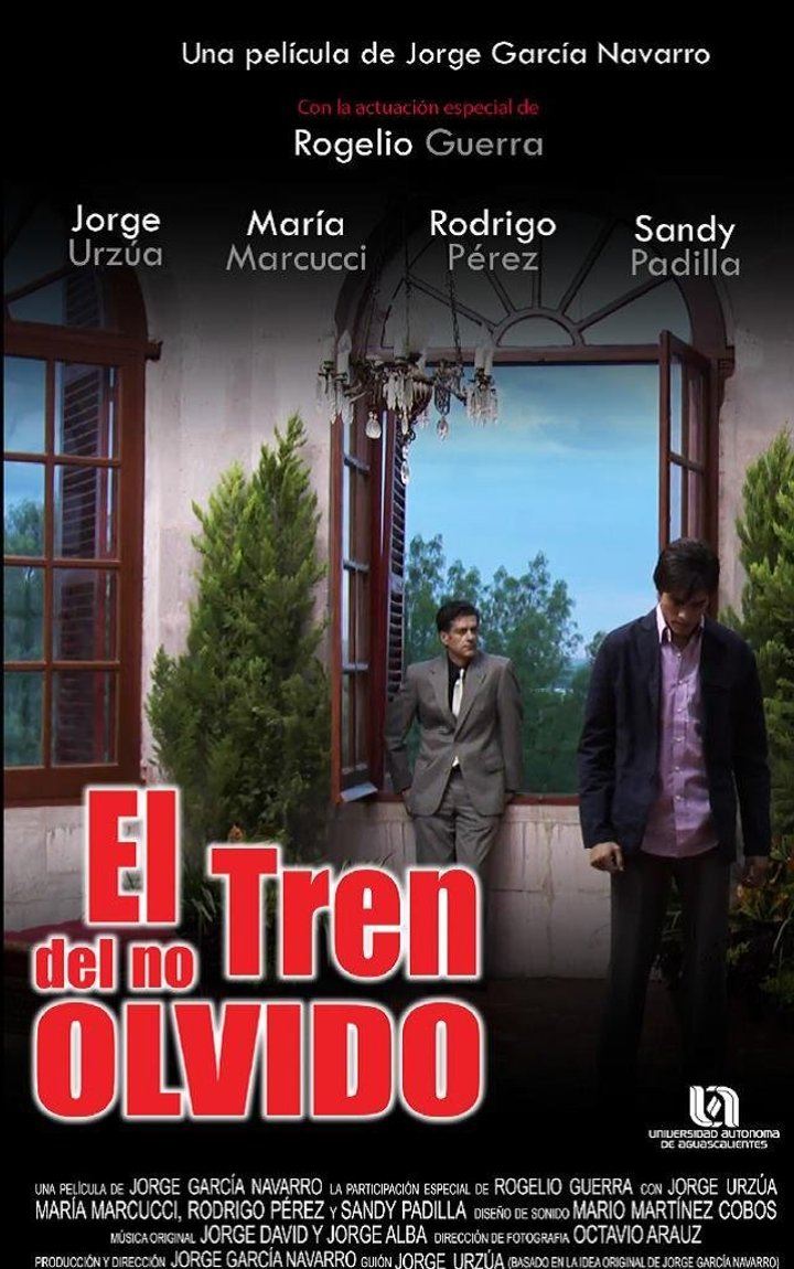 El Tren Del No Olvido (2011) Poster