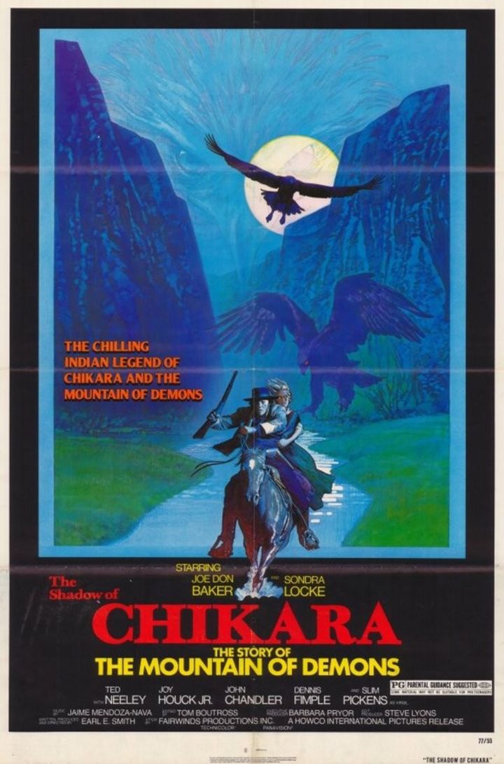 The Shadow Of Chikara (1977) Poster