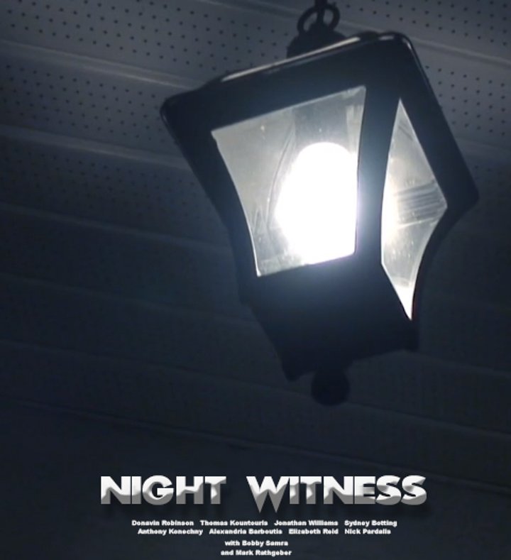 Night Witness (2013) Poster