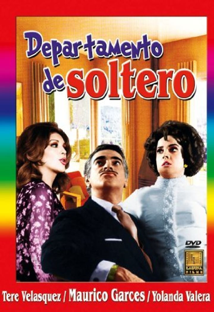 Departamento De Soltero (1971) Poster