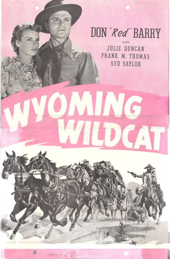 Wyoming Wildcat (1941) Poster