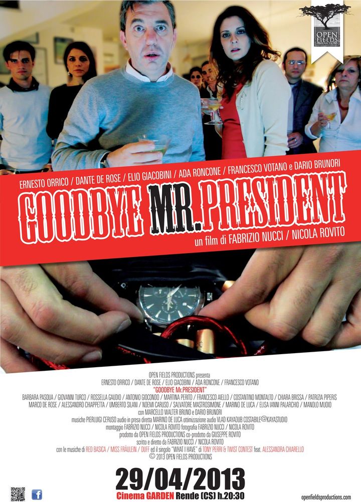 Goodbye Mr. President (2013) Poster