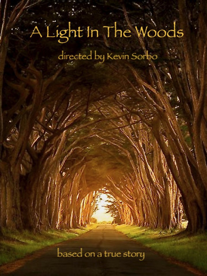 A Light In The Woods Poster