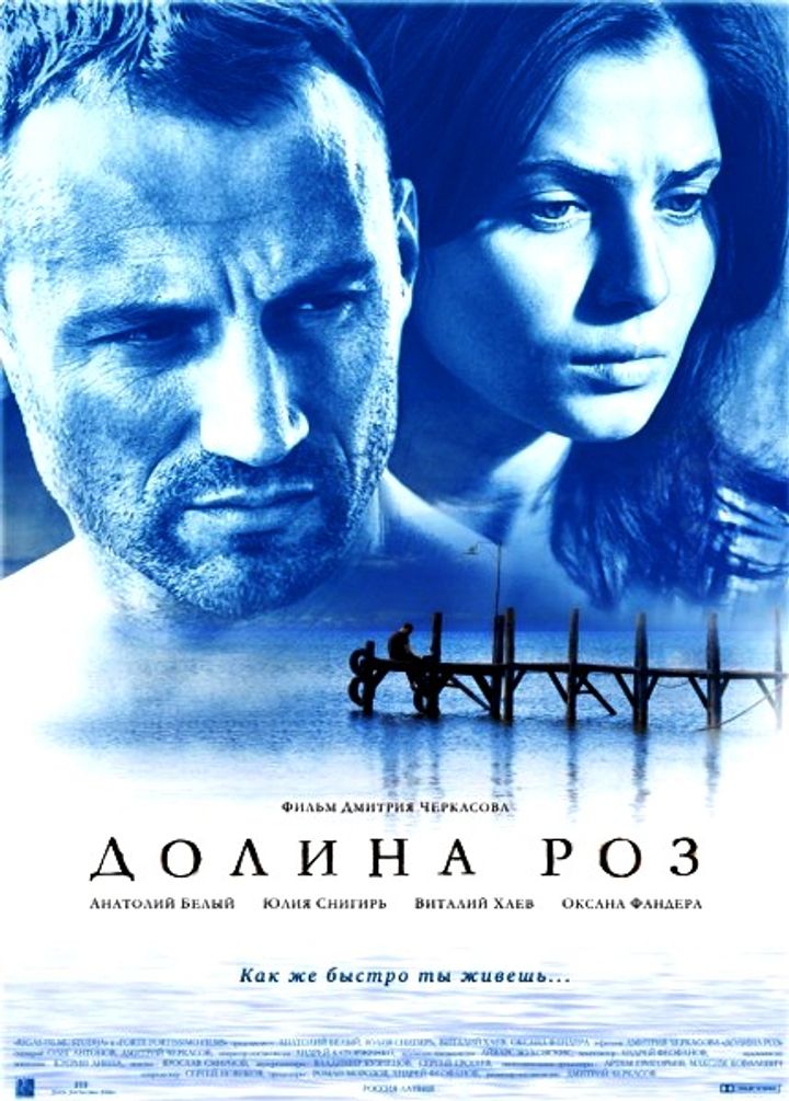 Dolina Roz (2011) Poster