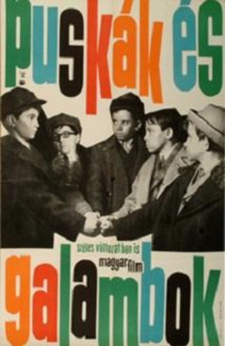 Puskák És Galambok (1961) Poster