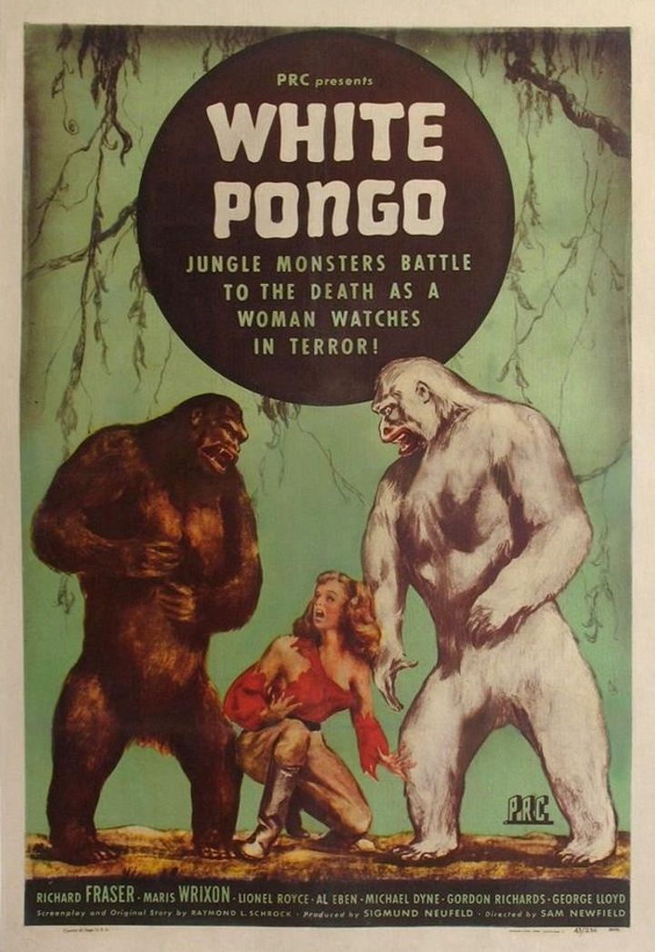 White Pongo (1945) Poster